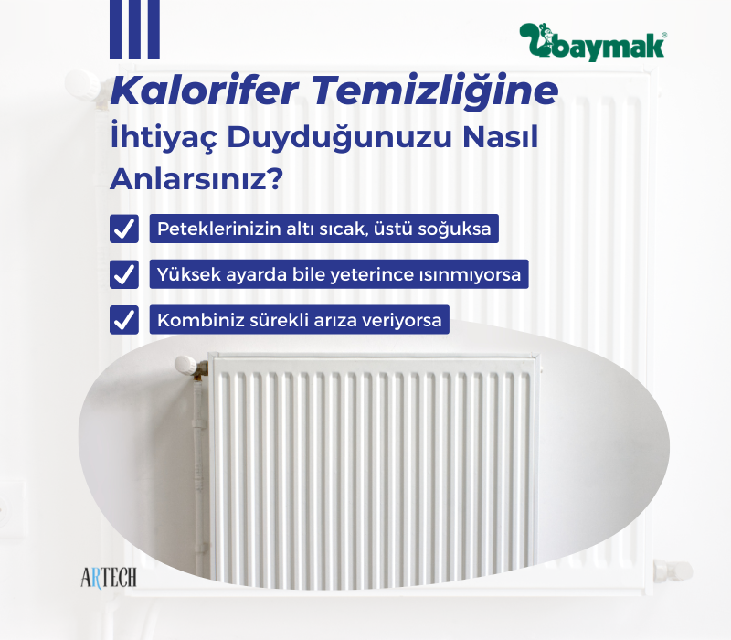 Petek temizliği ve bakım